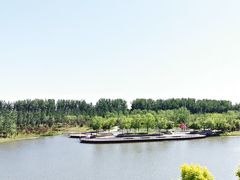 -东郊湿地公园