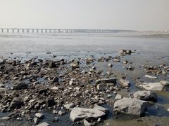 -宝安西湾红树林湿地公园