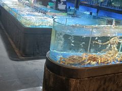水产区-徐记海鲜(观沙岭|滨江新城店)
