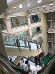 -首都医科大学附属北京儿童医院