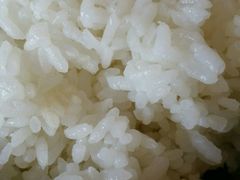 米饭-胖太太四川麻辣排骨串(镇江路分店)