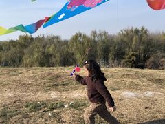 -汉长安城未央宫国家考古遗址公园