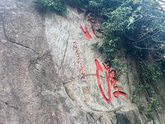 -野狸岛