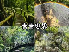 -东部华侨城