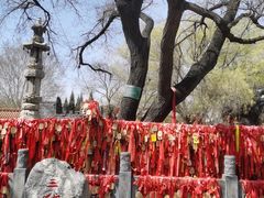 -大槐树寻根祭祖园