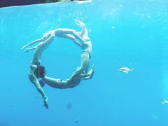 -瑞德姆美人鱼海底演艺主题餐厅(亚龙湾店)