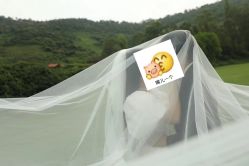 -金夫人婚纱摄影(华南店)