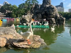 -团结湖公园