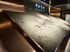 -贵州省地质博物馆