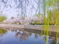 -海棠花溪(元大都城垣遗址公园)