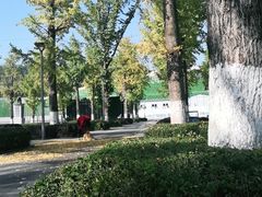 -两江幸福广场
