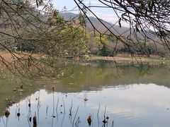 -八卦田遗址公园