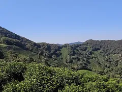 -十里琅珰