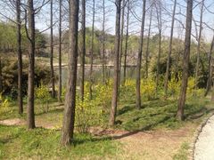 iphone_upload_pic-新江湾城公园