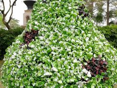 -美林湖温泉别墅度假村