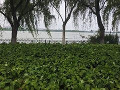 -金银湖国家城市湿地公园