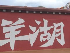 -羊卓雍措