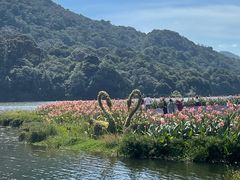 -广州市石门国家森林公园