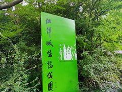 -西湖风景区-江洋畈生态公园