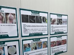 -东莞宠友24H宠物中心医院·转诊夜诊·异宠(新河北路院)