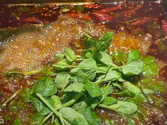 -五星桥原切肥牛火锅(怀德桥店)