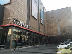 -盒马鲜生(大成店)