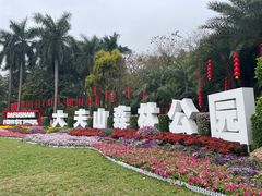 -番禺大夫山森林公园