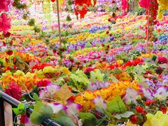-吉祥圣雪藏餐