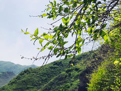 -野三坡百草畔景区