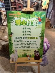 -酷嗒动物文化乐园(cutezoo西溪乐天城店)