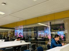 -上海浦东国际机场-T2航站楼