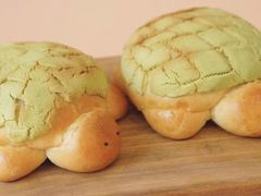 小乌龟-贝紫Style(木马公寓店)