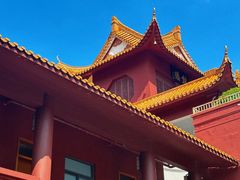 -深圳仙湖植物园