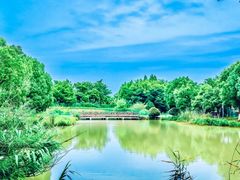 -中国扬子鳄村