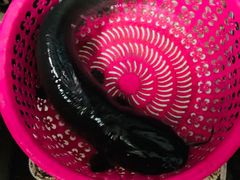 -古城苗家土菜馆(河景餐厅店)