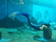 -北戴河圣蓝海洋公园