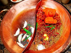 -重庆地瓜老火锅(广渠门店)