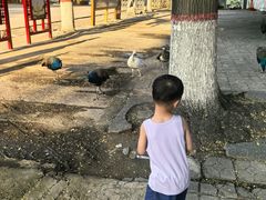 -保定市动物园