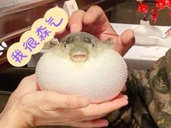 -肆月河豚·新淮扬(金融街店)