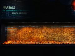 -盘龙城国家考古遗址公园