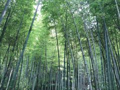-南山风景名胜区