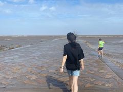 -南汇嘴观海公园