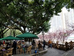 -望江楼公园