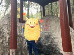 -浮来山风景区