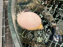 -蒋公馆家宴(江阴店)