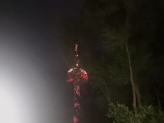 -辽宁电视塔