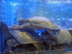 -王捌小院(红花坡店)