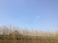 -董永七仙女文化园
