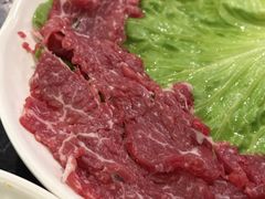 -重庆川渝肥妹火锅