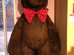 -济州岛泰迪熊博物馆